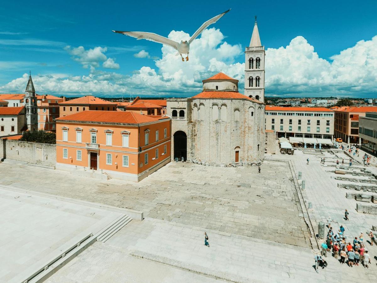 Caisa- Luxury Apartment 20 M From The Sea Zadar Bagian luar foto